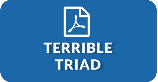 Terrible Triad (PDF)