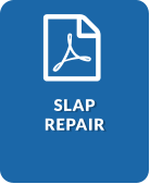 SLAP Repair  (PDF)